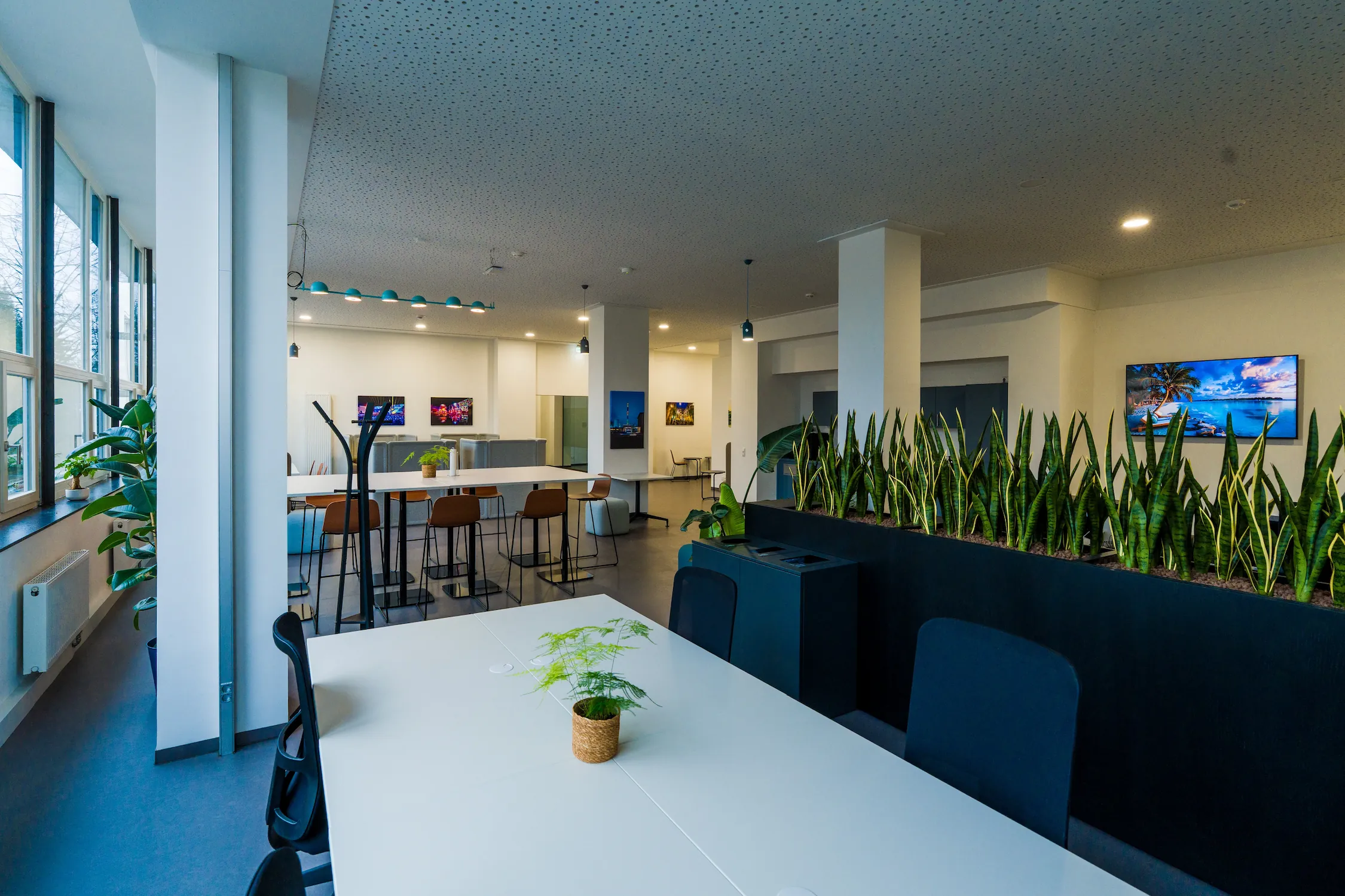 Coworking Lounge mit Pflanzen im Regus Europark